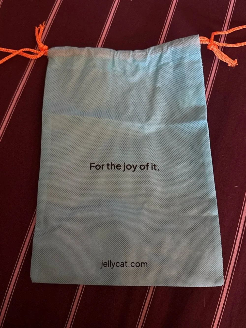 Jellycat Aqua Drawstring Cat Accessory Pouch with Orange Cords/NO jellycat w it!